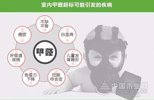 我不是药神，我只是阿慕王无醛OSB地板