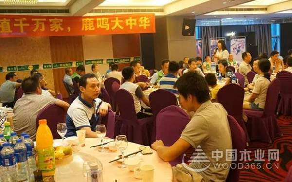 森鹿品牌推广暨合肥运营中心年中感恩答谢会圆满落幕