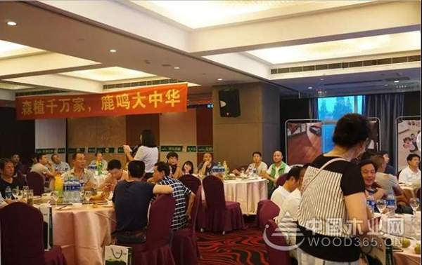 森鹿品牌推广暨合肥运营中心年中感恩答谢会圆满落幕