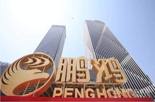 五项大奖收入囊中  鹏鸿成“十大板材品牌”大赢家