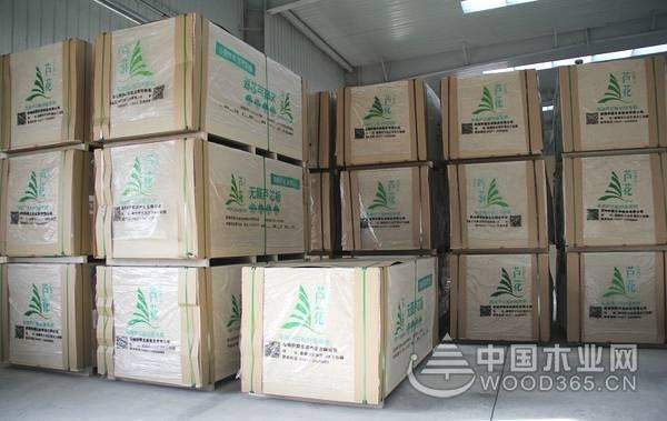 新生力量无惧挑战！芦花实力摘夺“十大潜力板材品牌”等荣誉