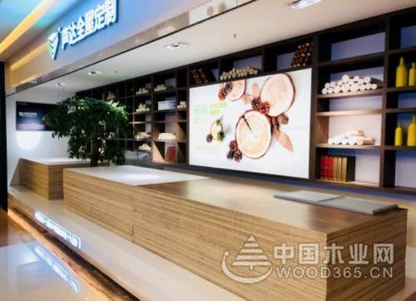 大展拳脚 声达木业斩获“十大环保板材”等两大荣誉