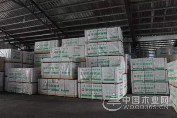 厚积薄发 平安树荣获2018十大生态板荣誉称号