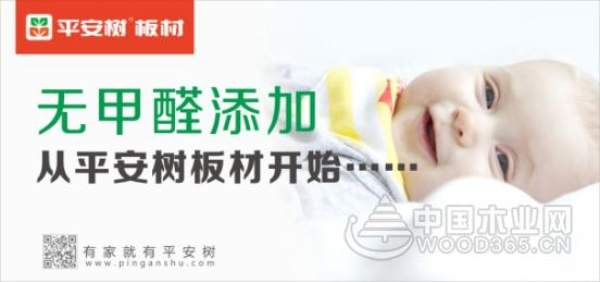 厚积薄发 平安树荣获2018十大生态板荣誉称号