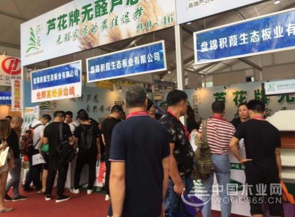 人气爆棚 芦花品牌携力作亮相广博建博会