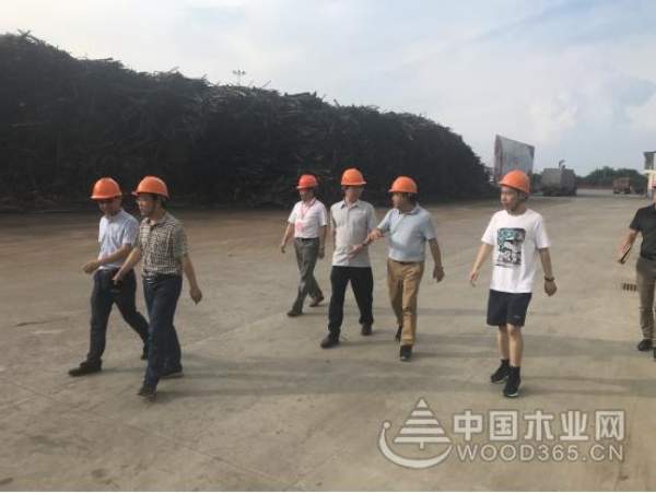 宜家工作组到访中国十大刨花板品牌-科林木业并确定供货事宜