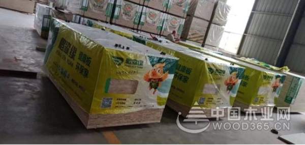 缘来共享 合作共赢：鹏森缘进军山东、江西地区 开启全面招商