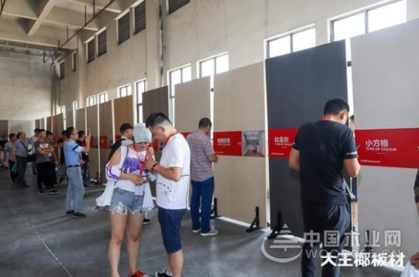 大王椰新经销商参观工厂，见证大王椰匠心品质
