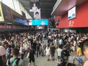 圣鹿板材亮相广州建博会，大放异彩！