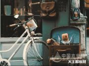 复古家居回潮，大王椰板材像手艺时代致敬