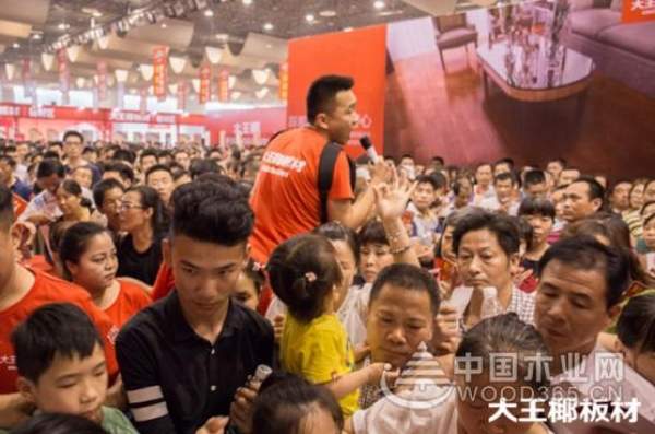大王椰板材上半年十八大要事盘点！