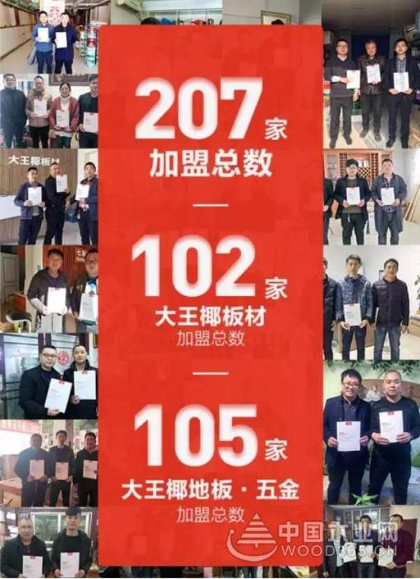 大王椰板材上半年十八大要事盘点！