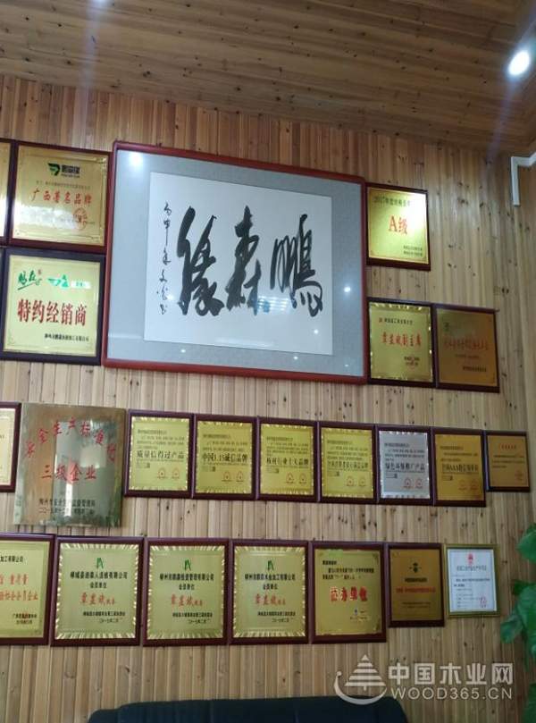 老兵的勋章——鹏森缘艰苦卓绝的风雨历程