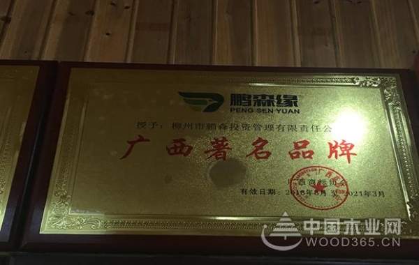 老兵的勋章——鹏森缘艰苦卓绝的风雨历程
