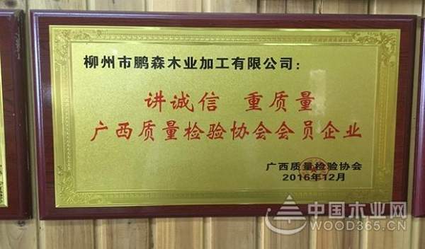 老兵的勋章——鹏森缘艰苦卓绝的风雨历程