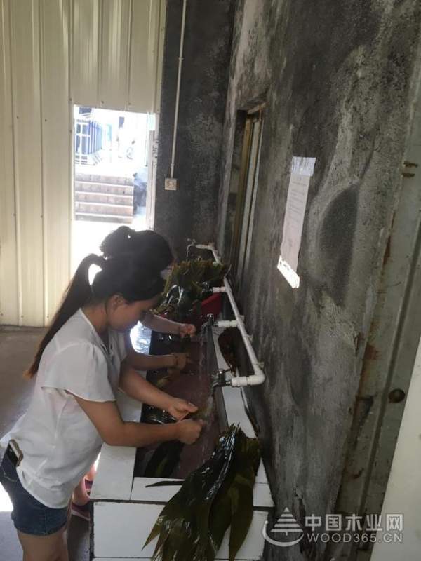 粽叶飘香过端午 幸福团结鹏森缘