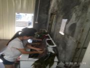 粽叶飘香过端午 幸福团结鹏森缘