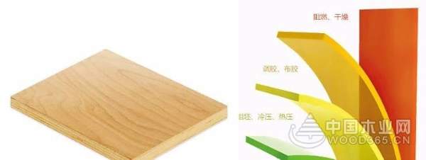 助力上合峰会，兔宝宝高品质获官方认可