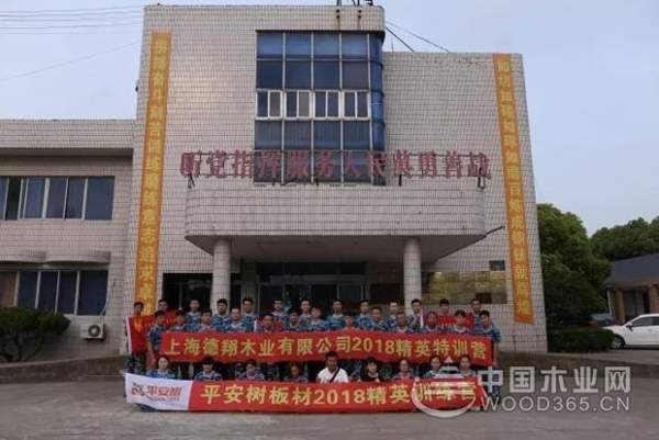 【训力量 筑梦想】平安树**期团队拓展活动
