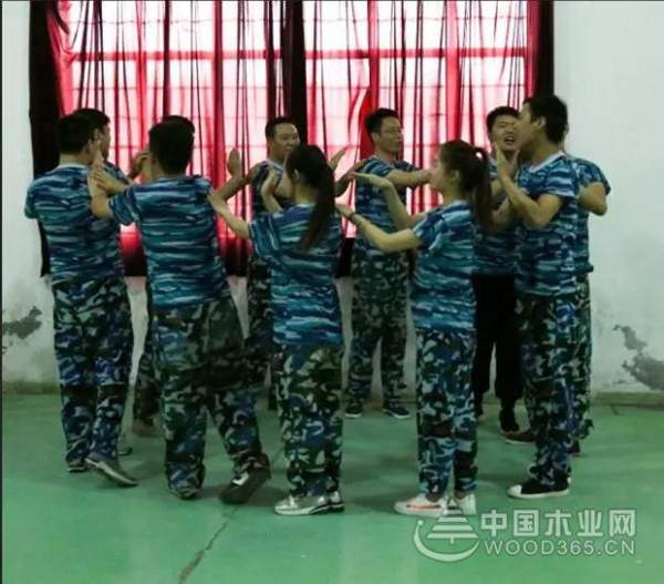 【训力量 筑梦想】平安树**期团队拓展活动