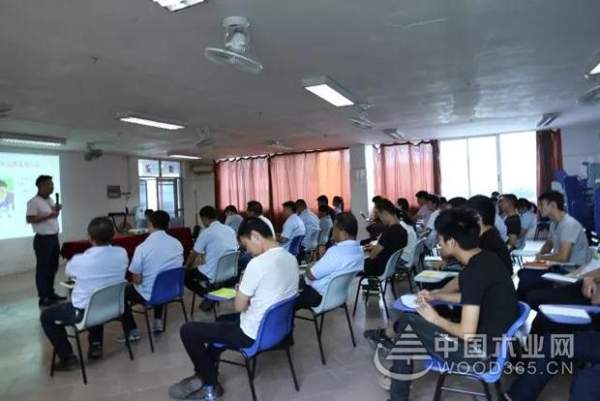 【训力量 筑梦想】平安树**期团队拓展活动
