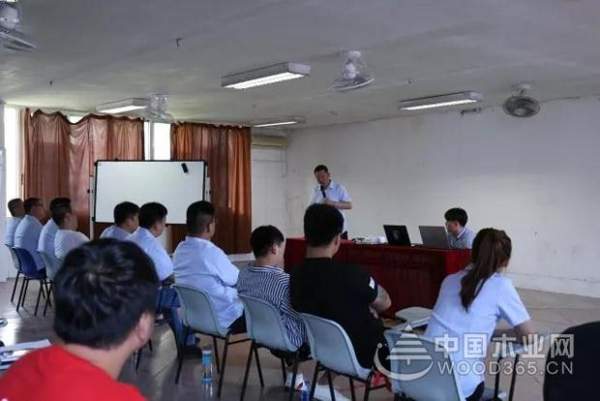 【训力量 筑梦想】平安树**期团队拓展活动