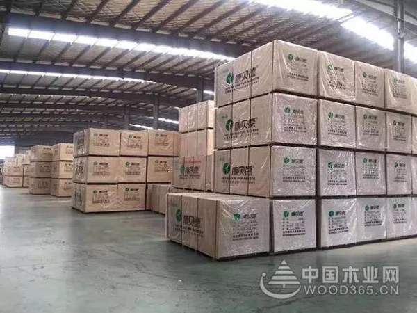 就差您了！康贝德需要您的支持与投票！