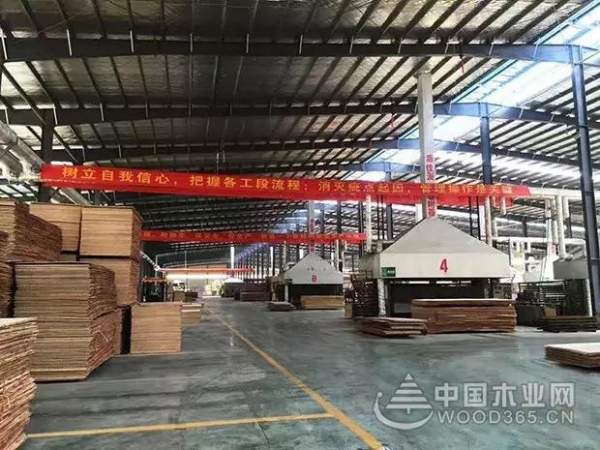 就差您了！康贝德需要您的支持与投票！