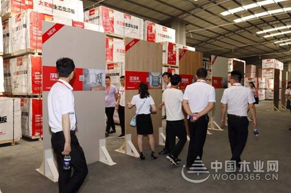 精进西北 智赢未来：大王椰深度开发西北市场 招商势头迅猛