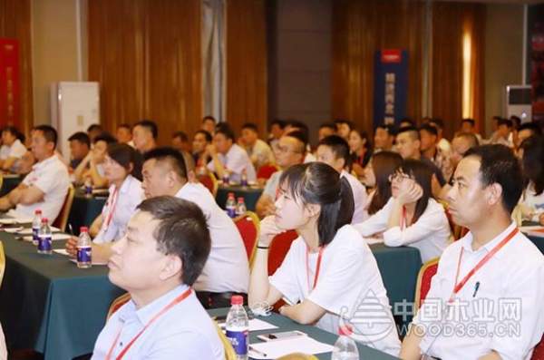 精进西北 智赢未来：大王椰深度开发西北市场 招商势头迅猛