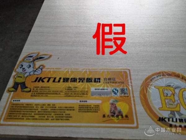 蓬勃发展的健康兔遭遇假货，广西工厂打假绝不手软，将严查到底