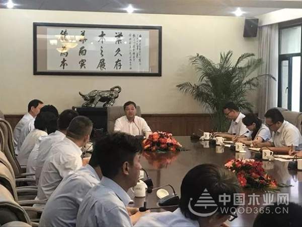 品牌经营如下棋 不要把树种在戈壁滩 ——丁鸿敏董事长、陆利华总经理参加地板区域经理座谈会