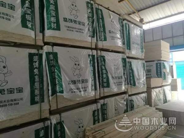 “兔宝宝”维权在行动！