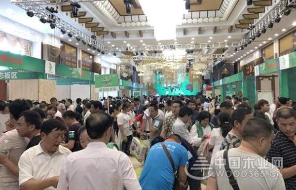 六月**战，兔宝宝环保行荆州站