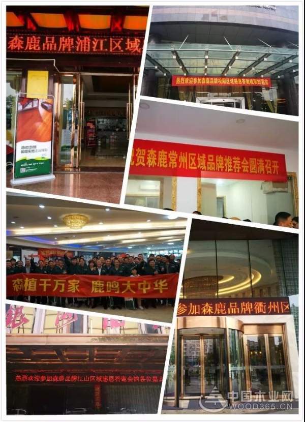 森鹿全国油木工俱乐部活动浦江站圆满落幕