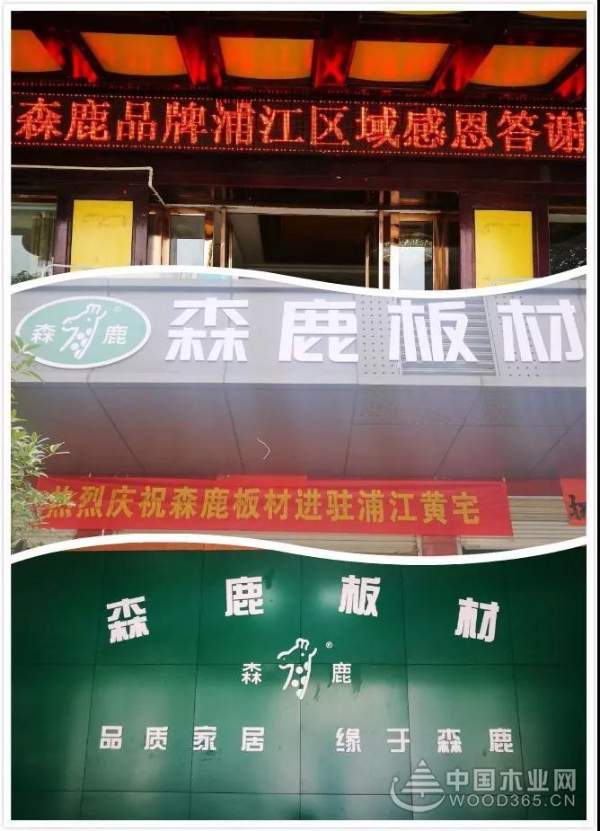 森鹿全国油木工俱乐部活动浦江站圆满落幕