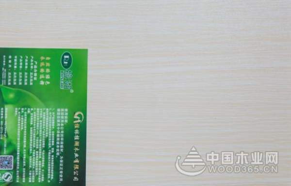 开创品牌发展新局面 桂湖木业与中国木业网携手合作