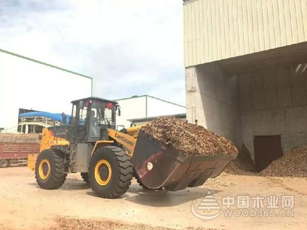 丰林集团各工厂开展送清凉活动