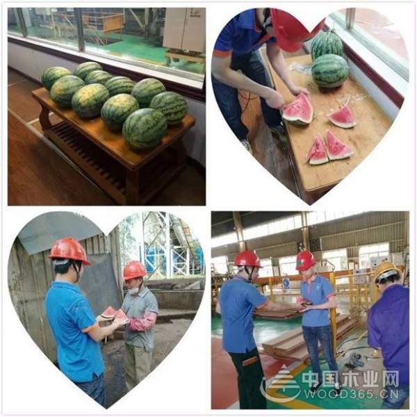 丰林集团各工厂开展送清凉活动
