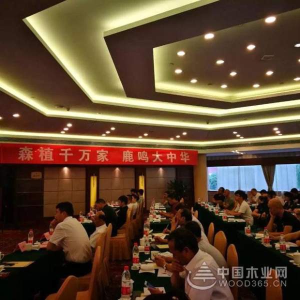 森鹿品牌华东地区重点经销商供销一体化会议在嘉善隆重召开