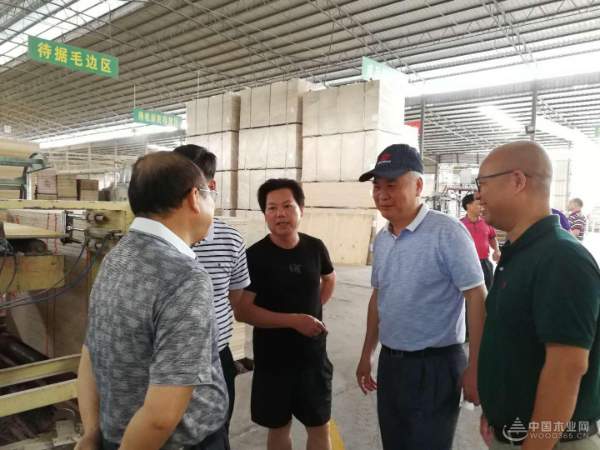 考察调研鹏森缘 来宾市领导一行赞不绝口