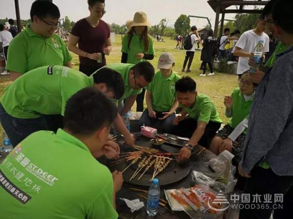 圣鹿国际**季度《团队奋进 努力拼搏》户外拓展训练圆满完成！