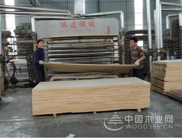 订单不断 鹏森缘不惧行业淡季逆势破局