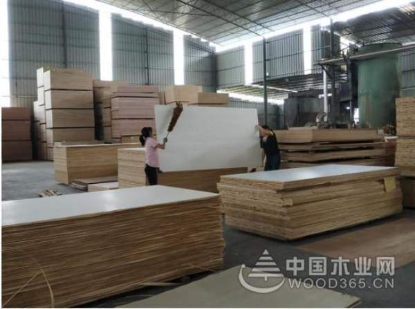订单不断 鹏森缘不惧行业淡季逆势破局