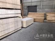 福汉木业维权打假出重拳 用法律武器维护福汉金字招牌