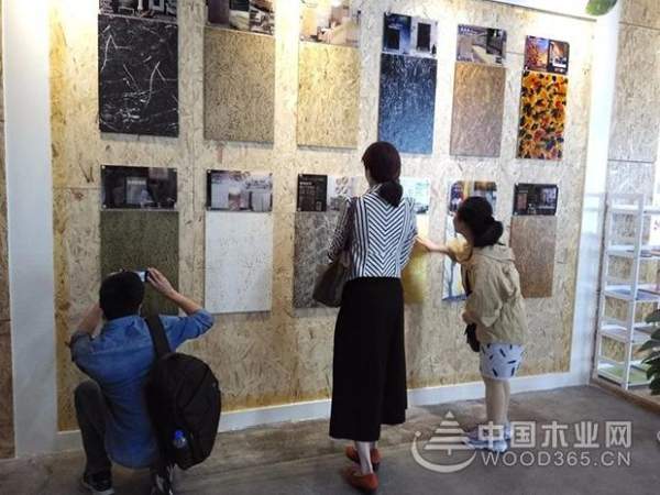 “中国品牌日•品字标”体验活动走进兔宝宝