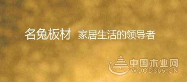 十大板材投票如火如荼，名兔希望您的支持！