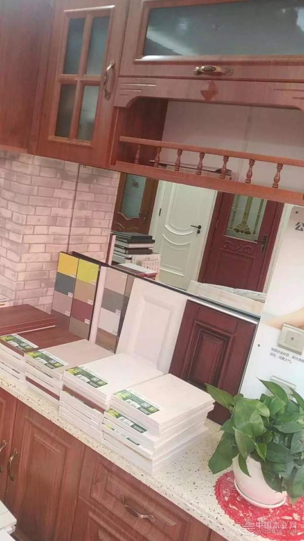 呼和浩特福财树品牌店邀您产品品鉴
