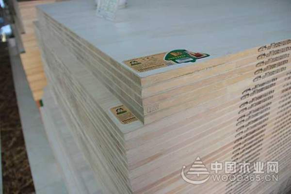 康居宝贝登陆央视 六台联播彰显品牌实力