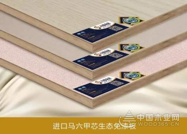 小熊贝贝生态板为什么热卖？答案在这里。